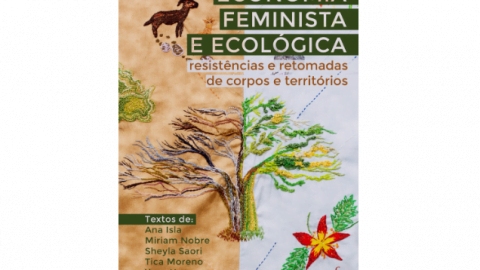 Economia Feminista E Ecol Gica Resist Ncias E Retomadas De Corpos E